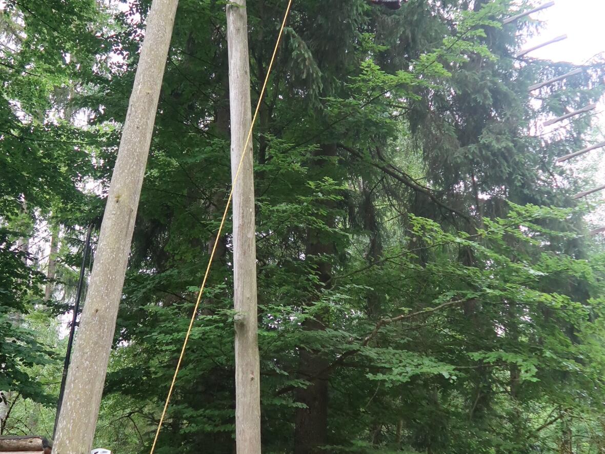 walderlebniszentrum-schernfeld-3