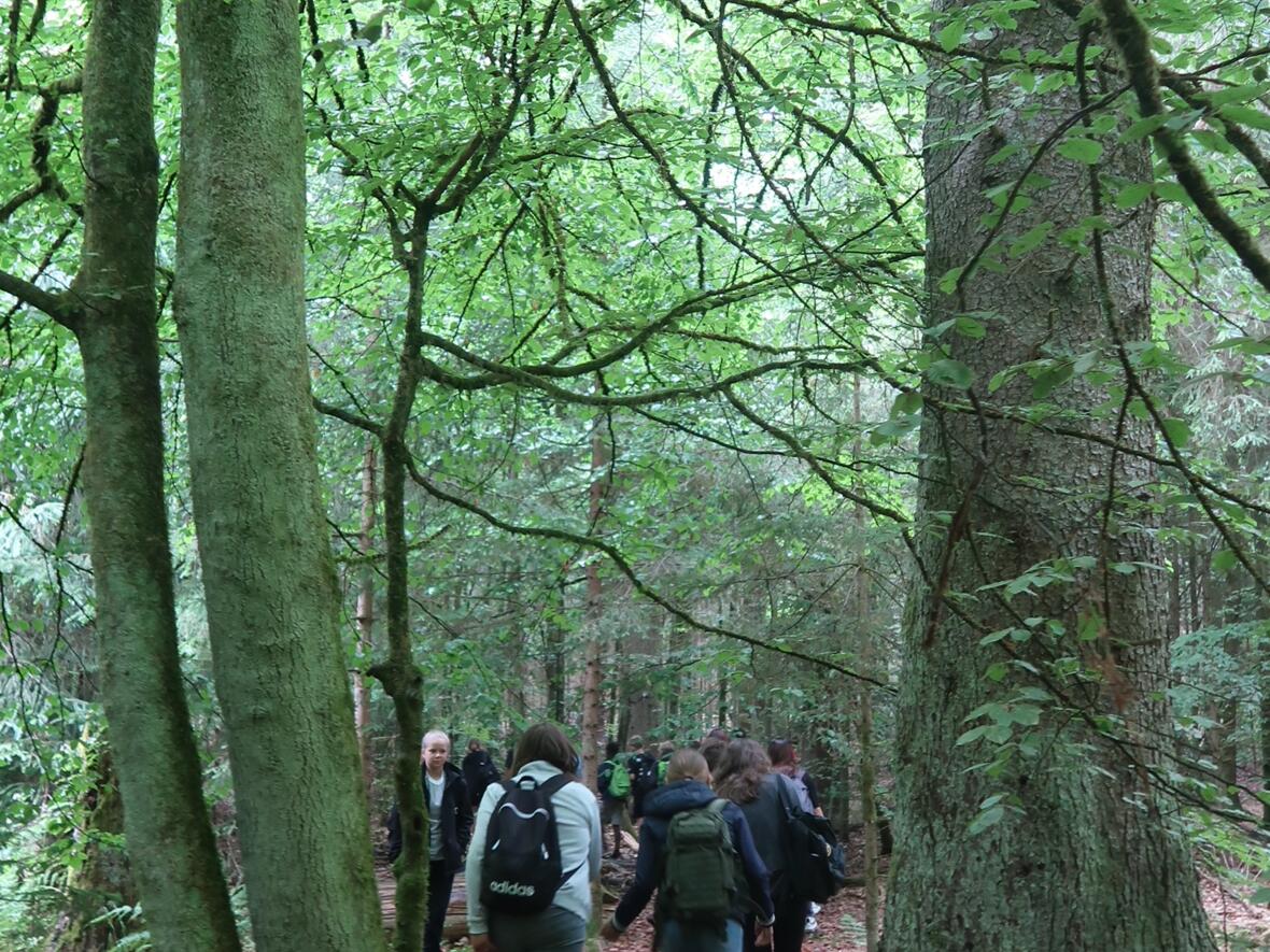 walderlebniszentrum-schernfeld-4