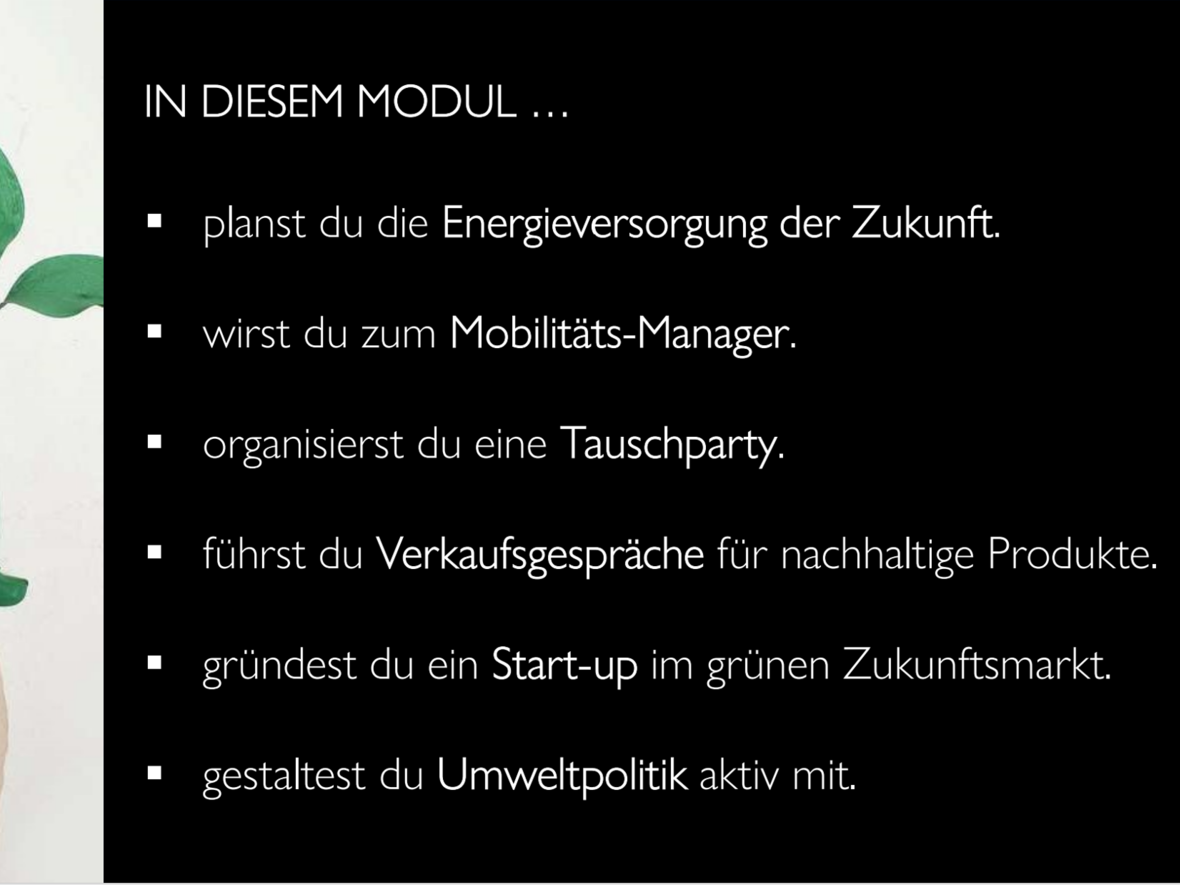 n-umweltoekonomie