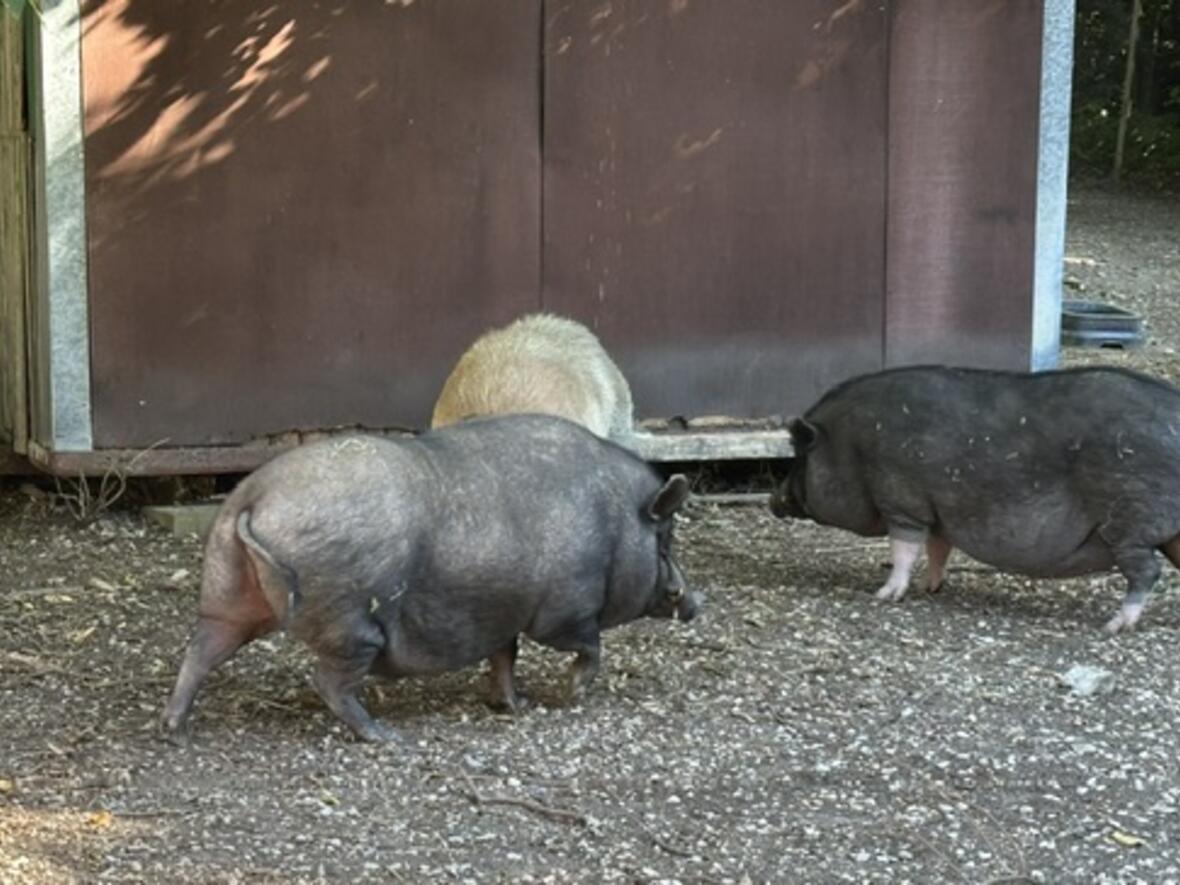 bild5