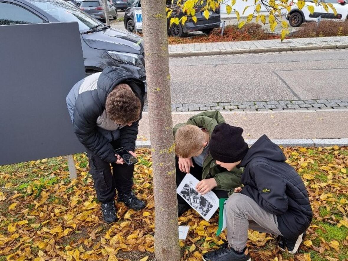 bild-5a-kompassschatzsuche2