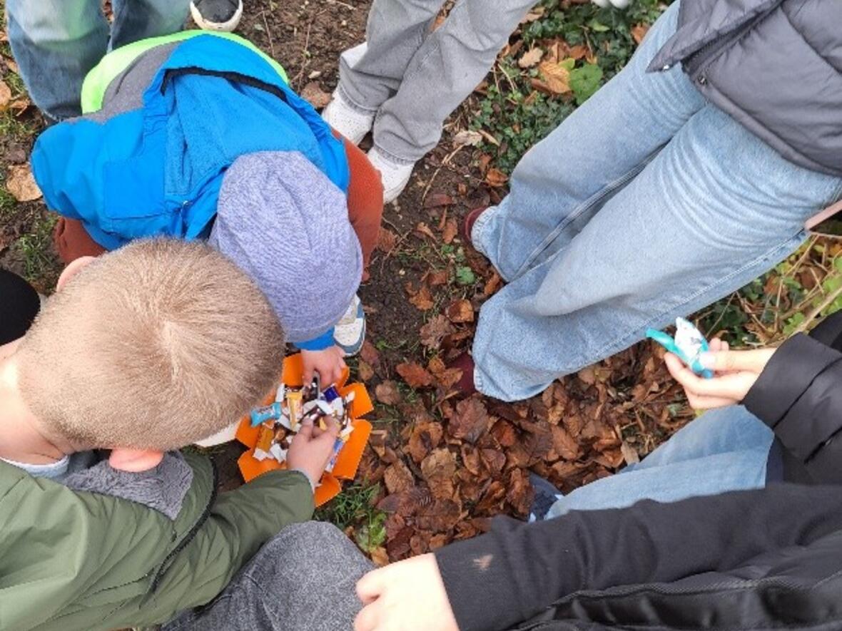 bild-5a-kompassschatzsuche1