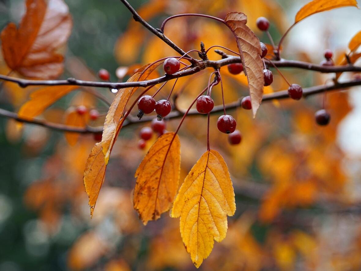 buss-und-bettag-bild