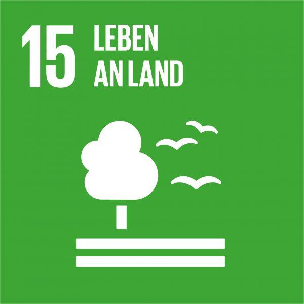 15-leben-an-land