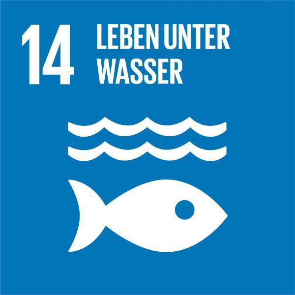 14-leben-unter-wasser