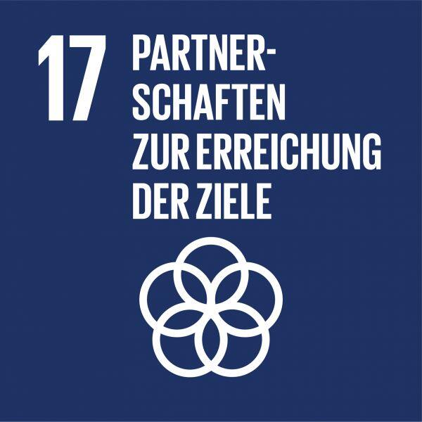 17-partnerschaften-zur-erreichung-der-ziele