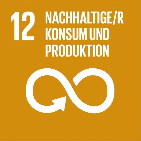 12-nachhaltiger-r-konsum-und-produktion