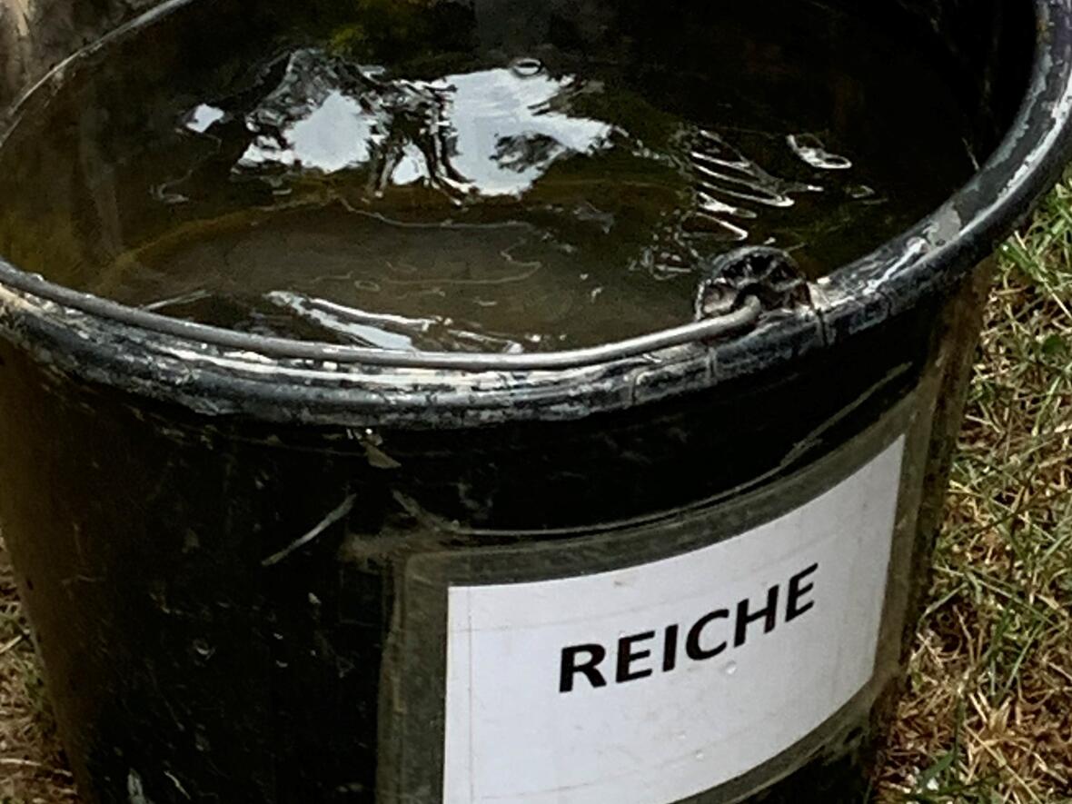 schernfeld-2